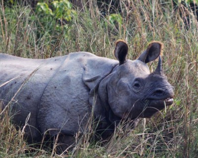 Nepal Tours