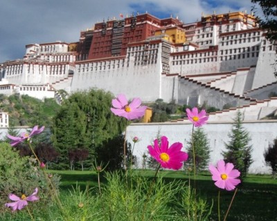 Tibet