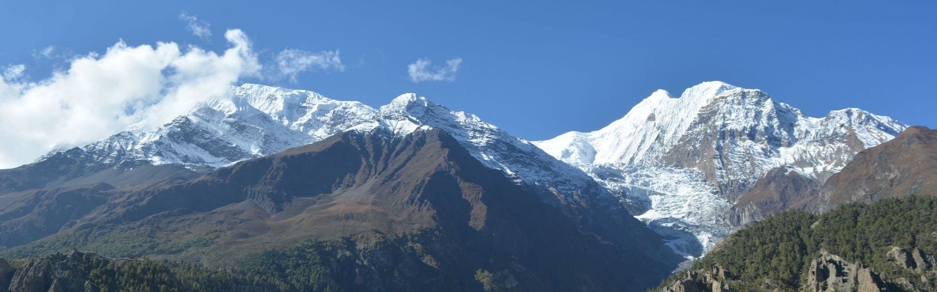 Top 10 Steps to Find the Best Trekking Agencies in Nepal