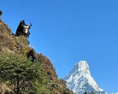 Mt. Ama Dablam